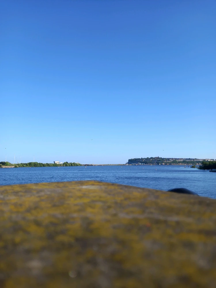 Image uploaded by Benjamin Davies