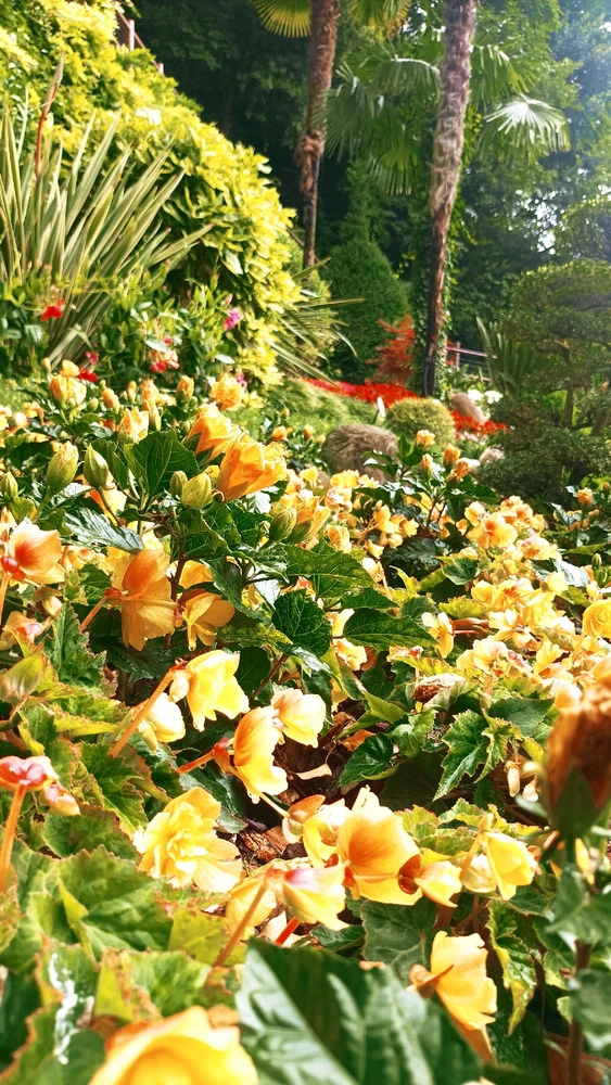 Immagine caricata da Giulio