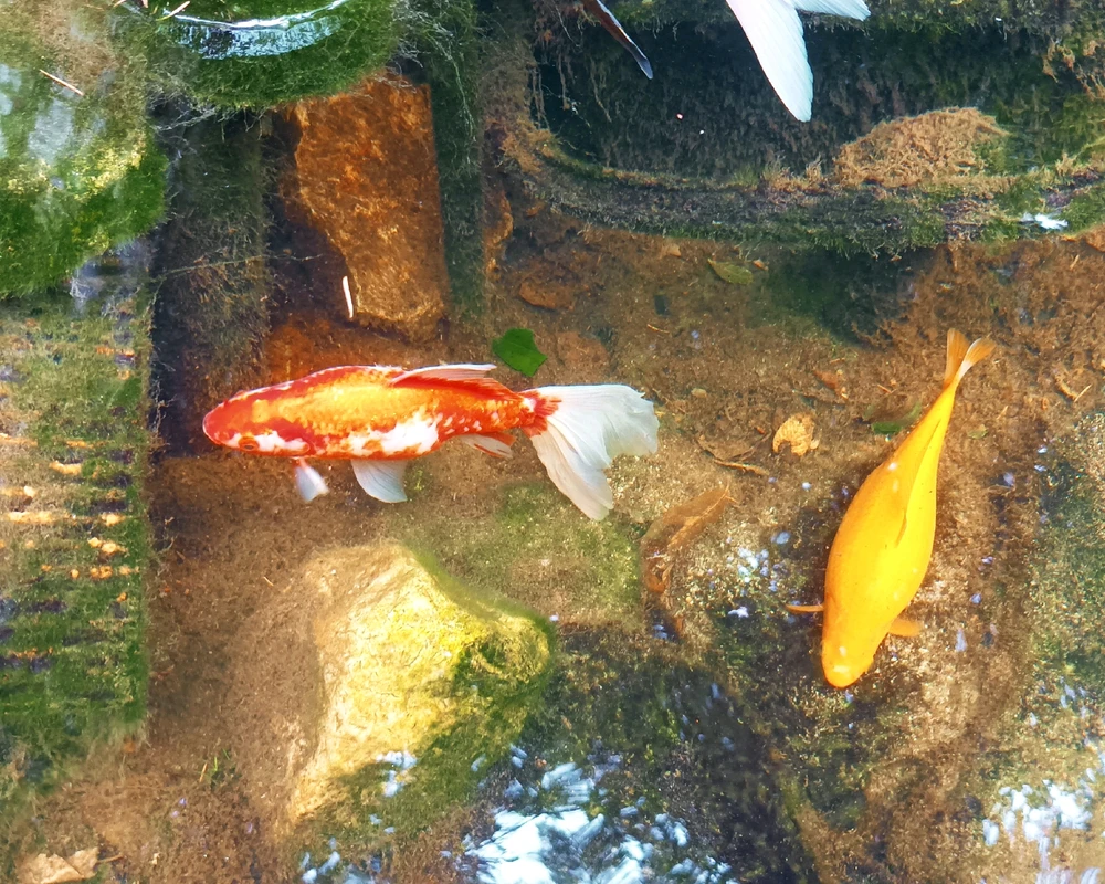 Immagine caricata da Giulio