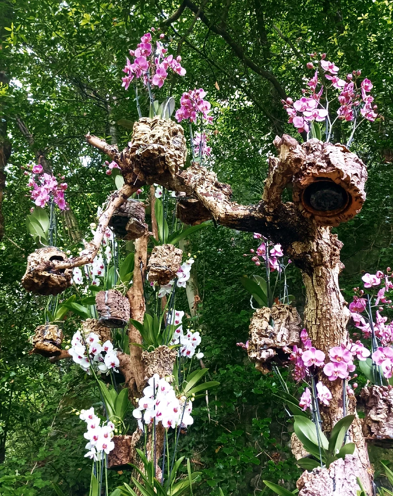 Immagine caricata da Giulio