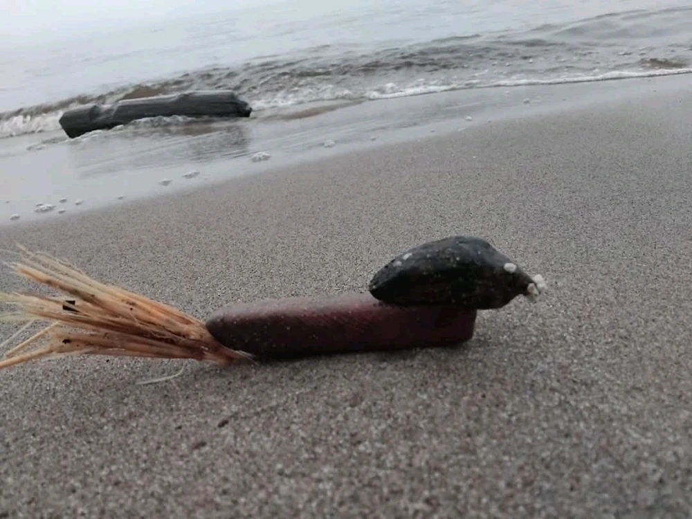 GIF uploaded by Artis