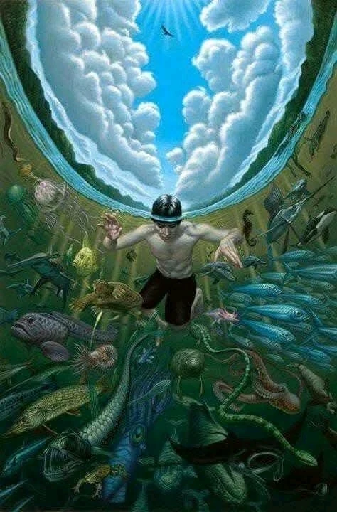 GIF ajouté par Dorian🐞