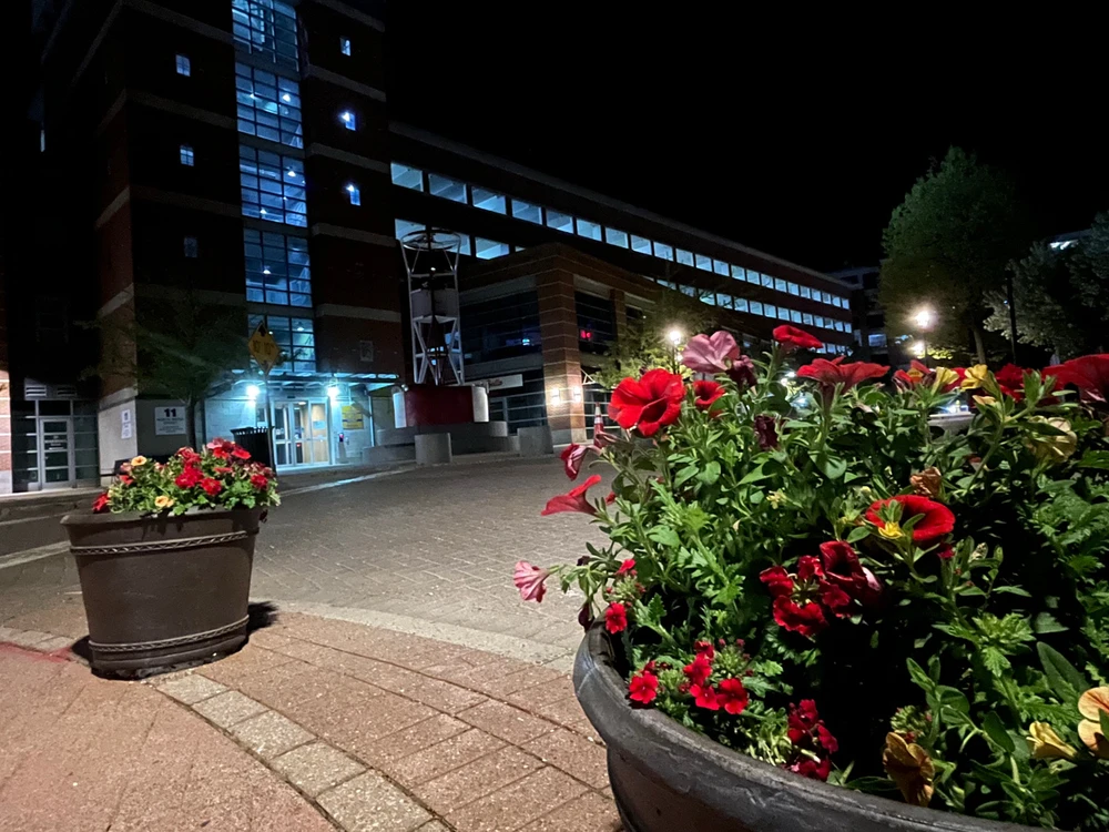 GIF uploaded by Asger