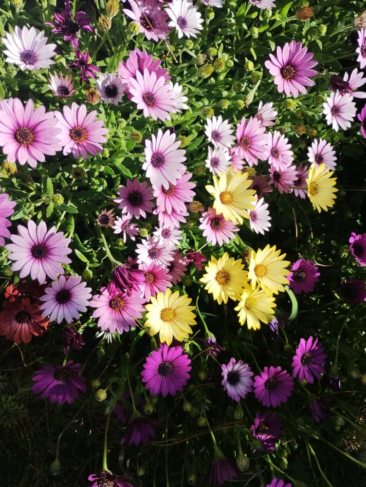 GIF subido por Ignacio