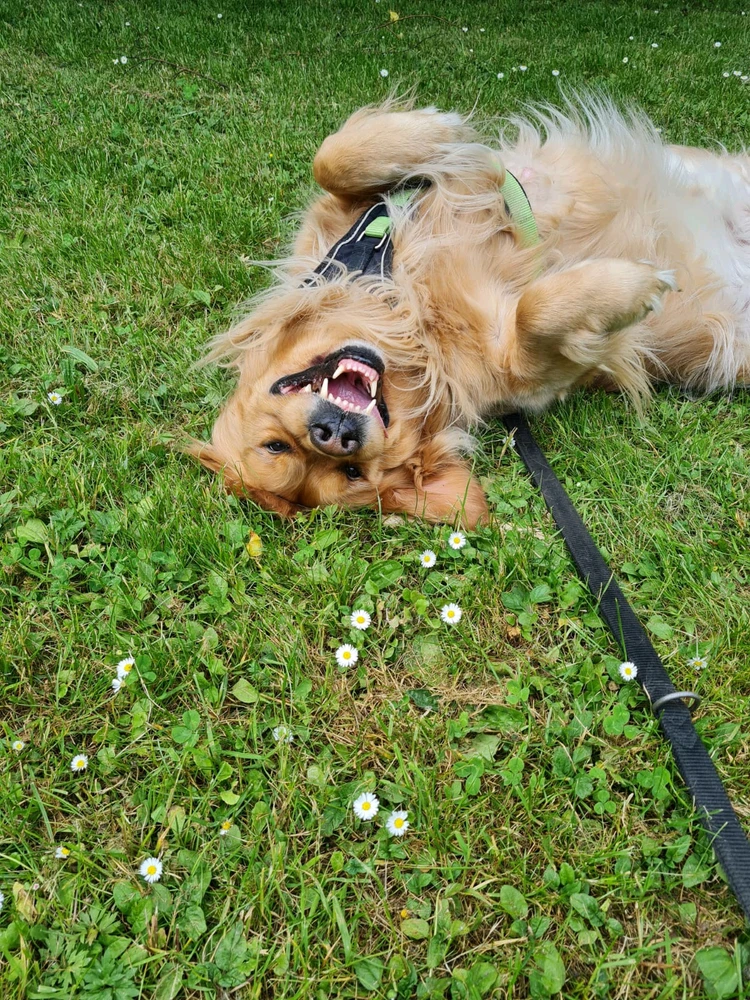 Bild hochgeladen von Gerimo