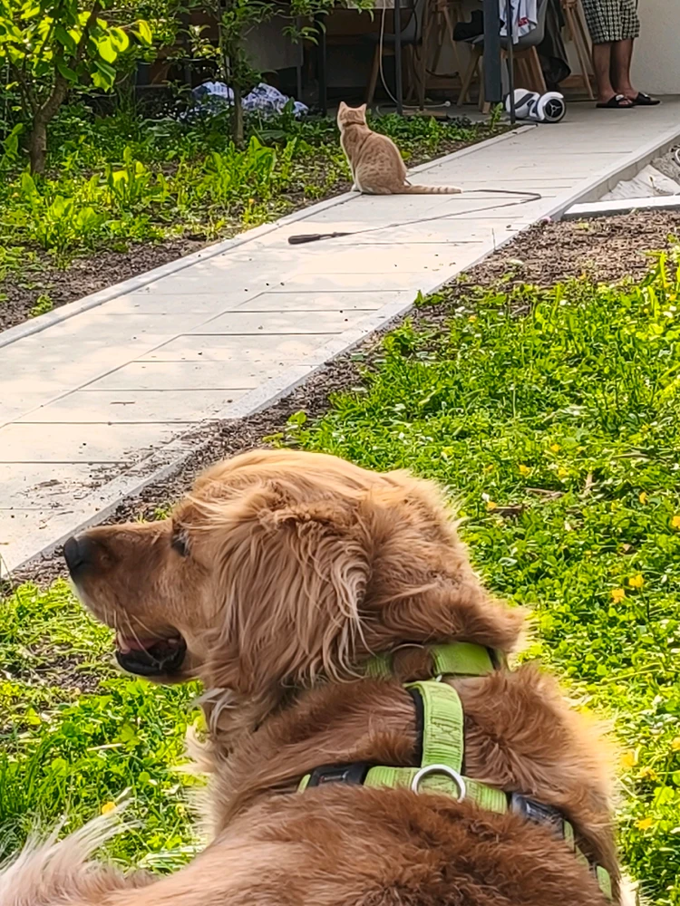 Bild hochgeladen von Gerimo