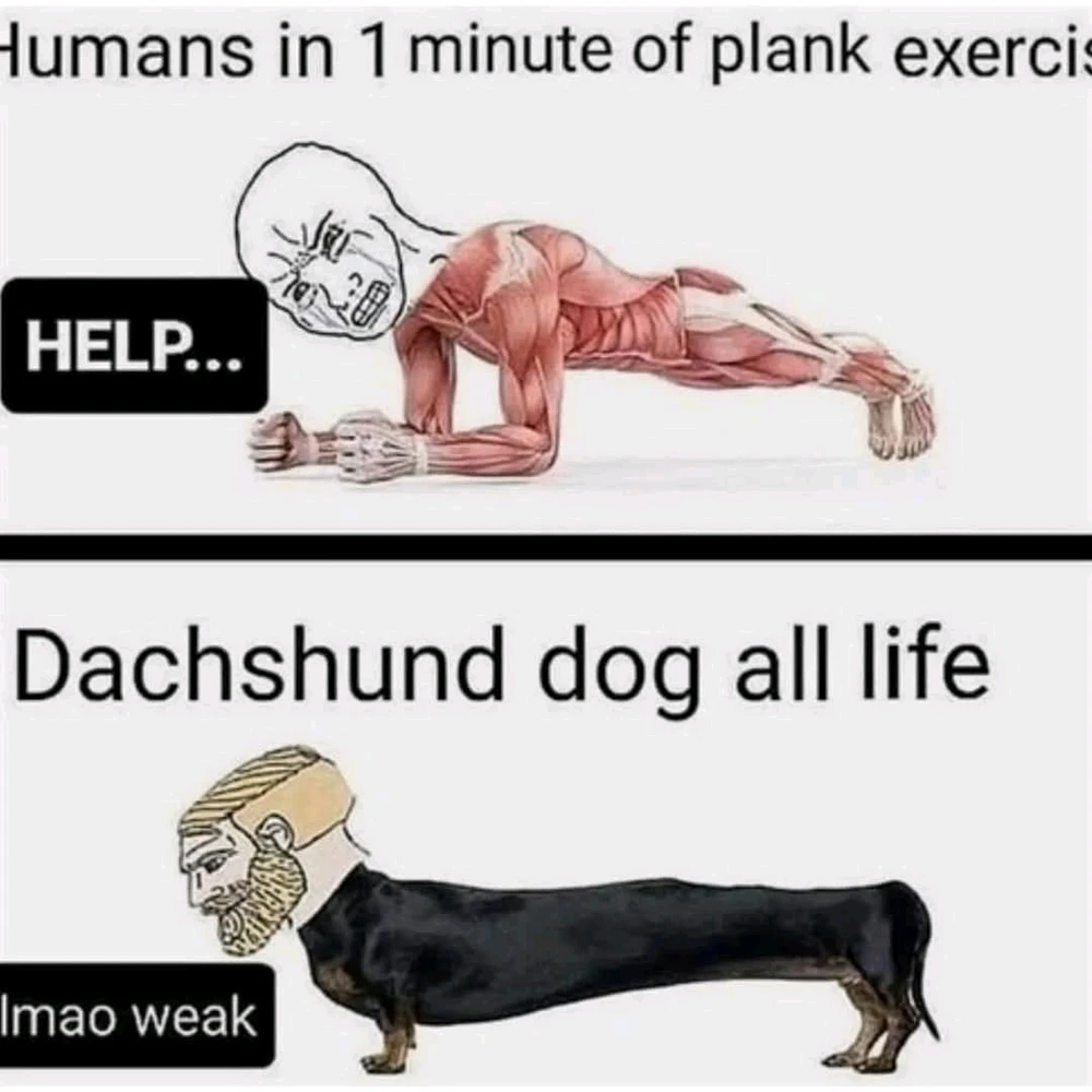 GIF-tiedoston lisäsi Sampsa