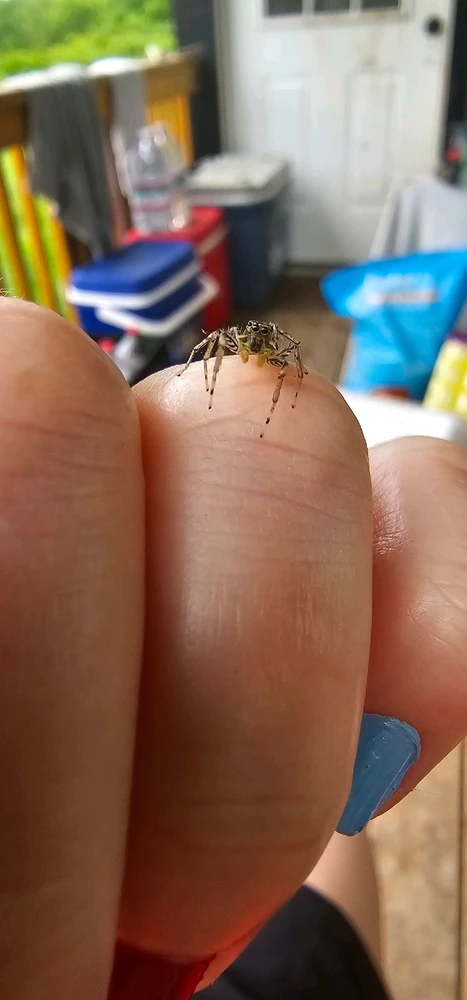 Image uploaded by Ally