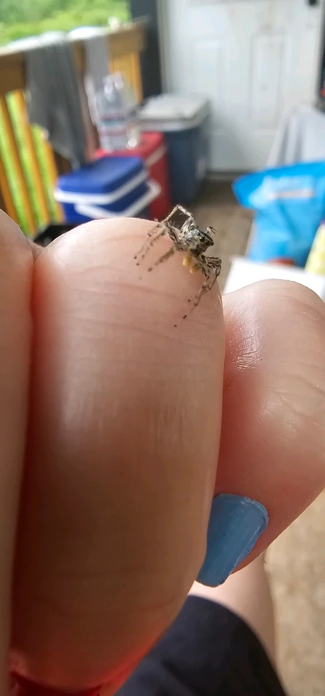 Image uploaded by Ally