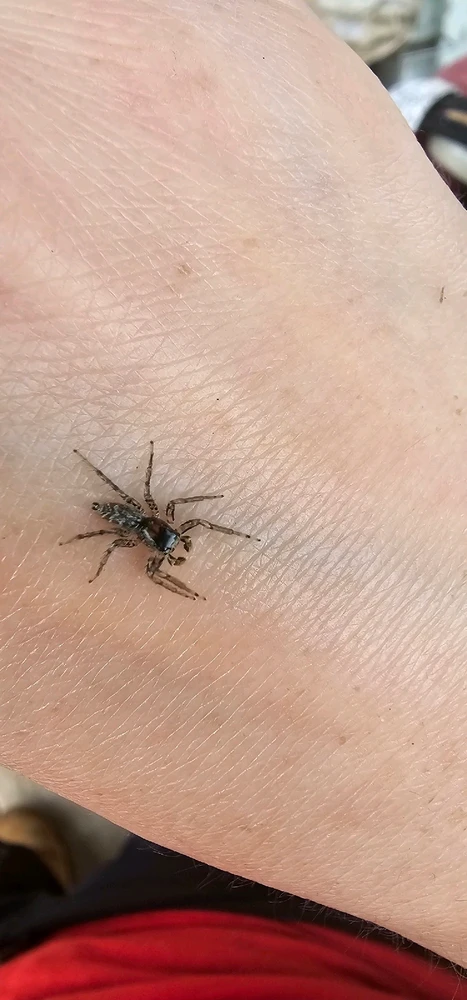 Image uploaded by Ally