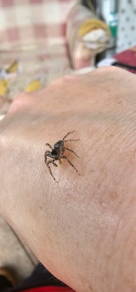 Image uploaded by Ally