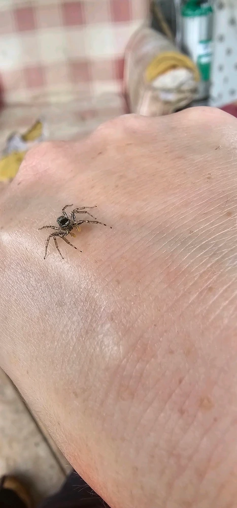 Image uploaded by Ally