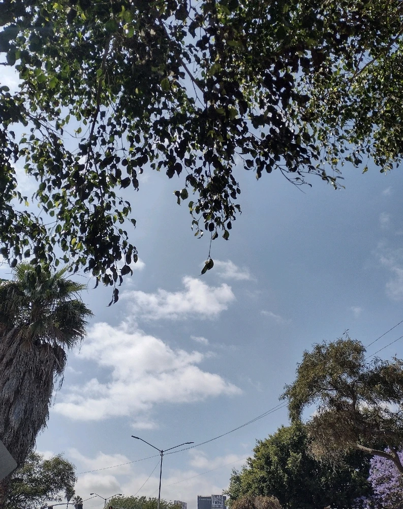 GIF uploaded by Luke
