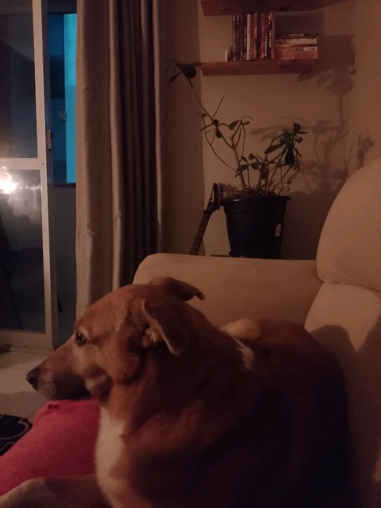 GIF enviado por Jonathan