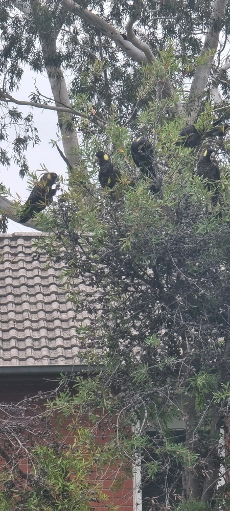 GIF uploaded by J-Klamp😜🐒