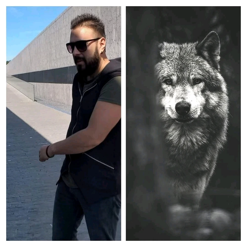 GIF încărcat de Alex