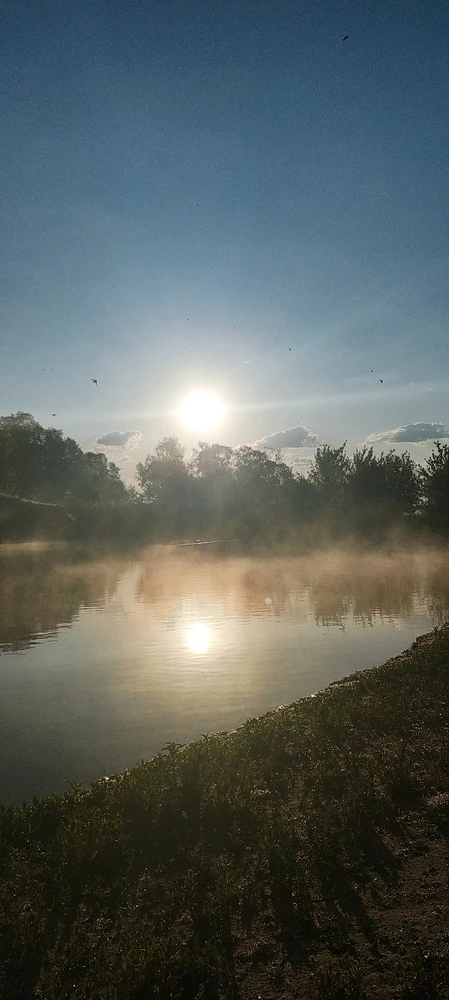 Фото загрузил Alexandr