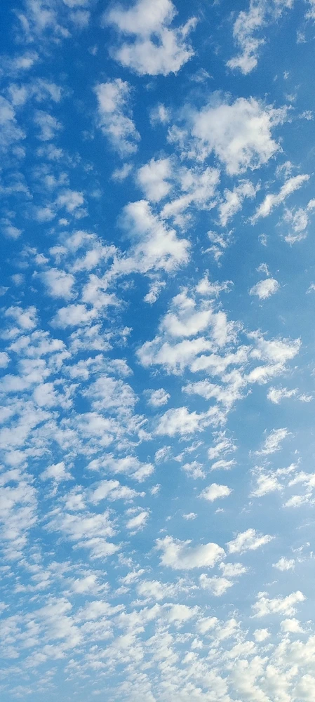 Фото загрузил Alexandr