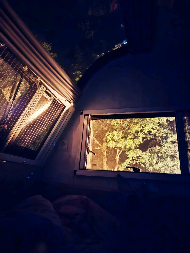 Cihat tarafından yüklenen görsel