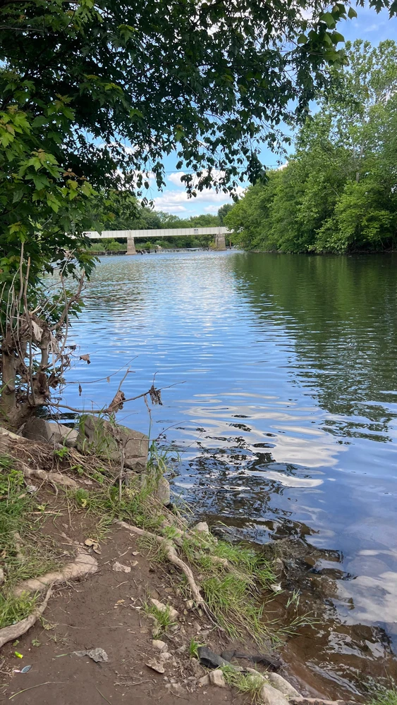 Image uploaded by Andy