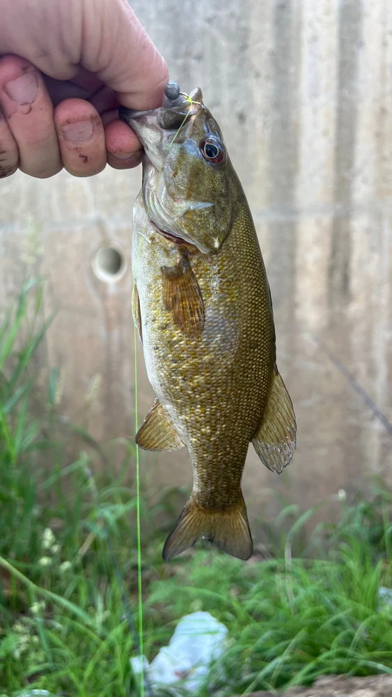 Image uploaded by Andy