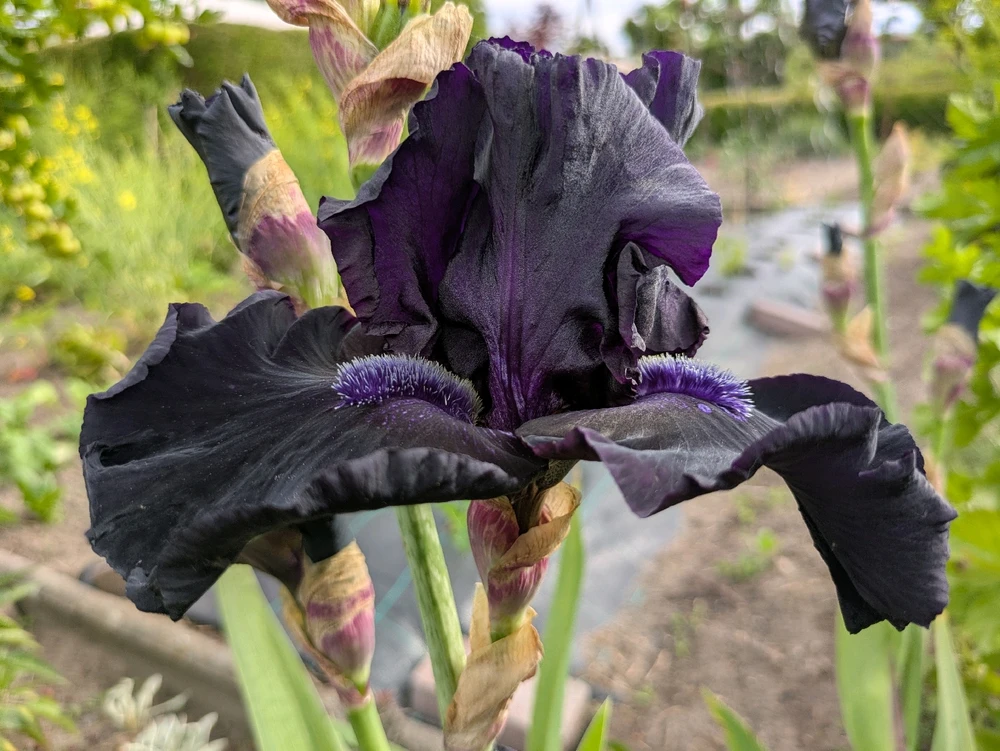 Bild hochgeladen von Hannes🌱