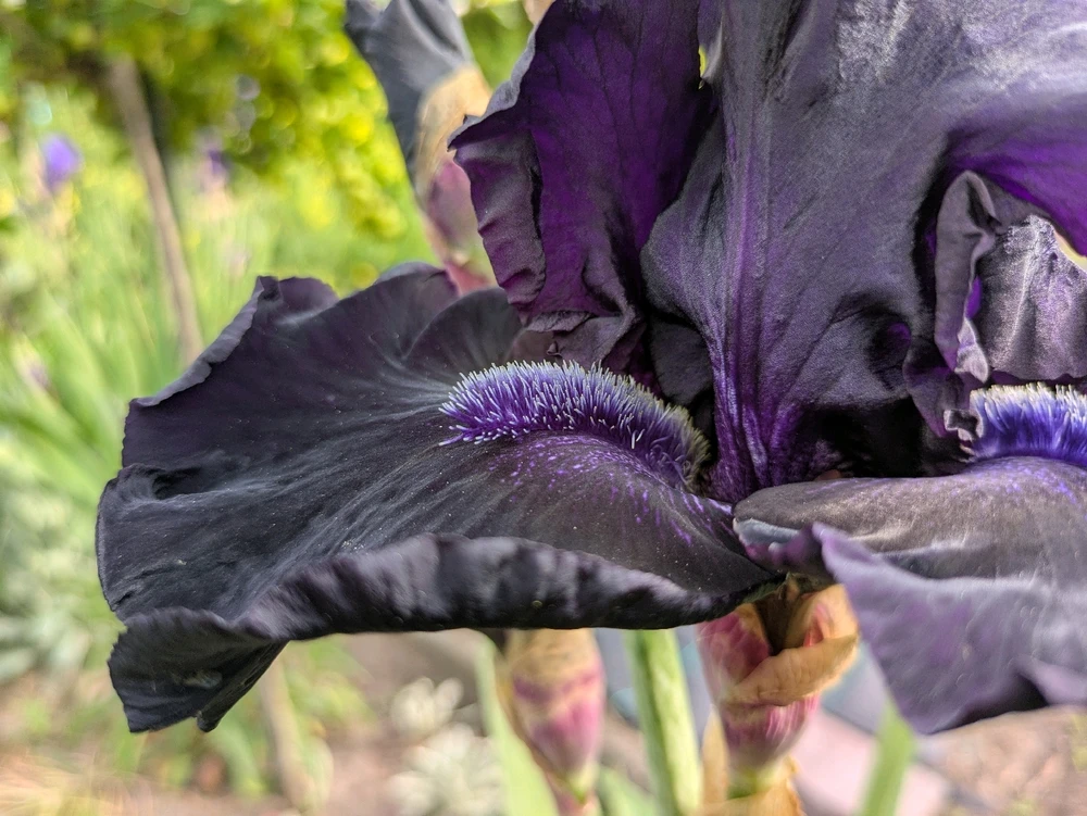 Bild hochgeladen von Hannes🌱