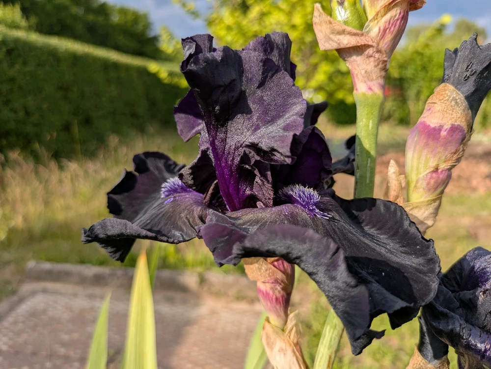 Bild hochgeladen von Hannes🌱