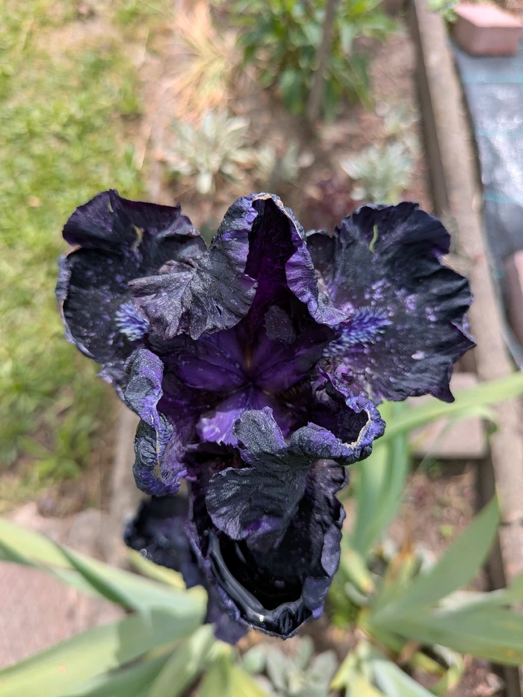 Bild hochgeladen von Hannes🌱