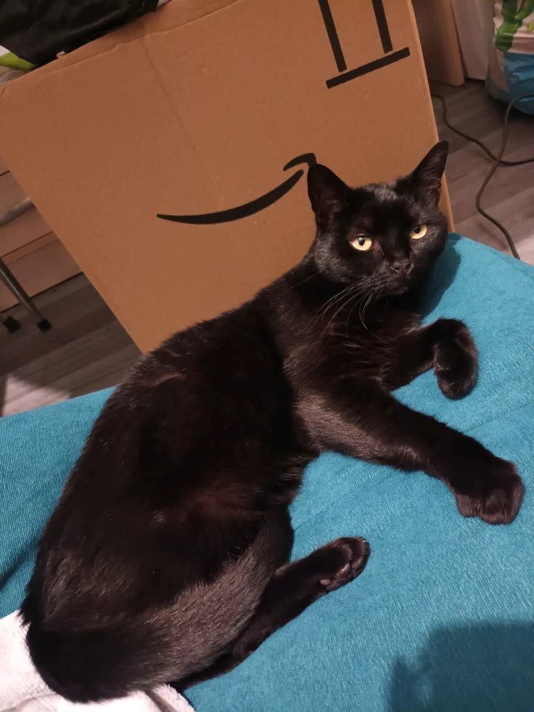 Image ajoutée par Cymoriel🦋