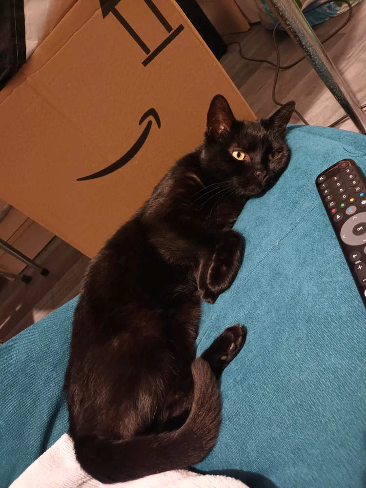 Image ajoutée par Cymoriel🦋