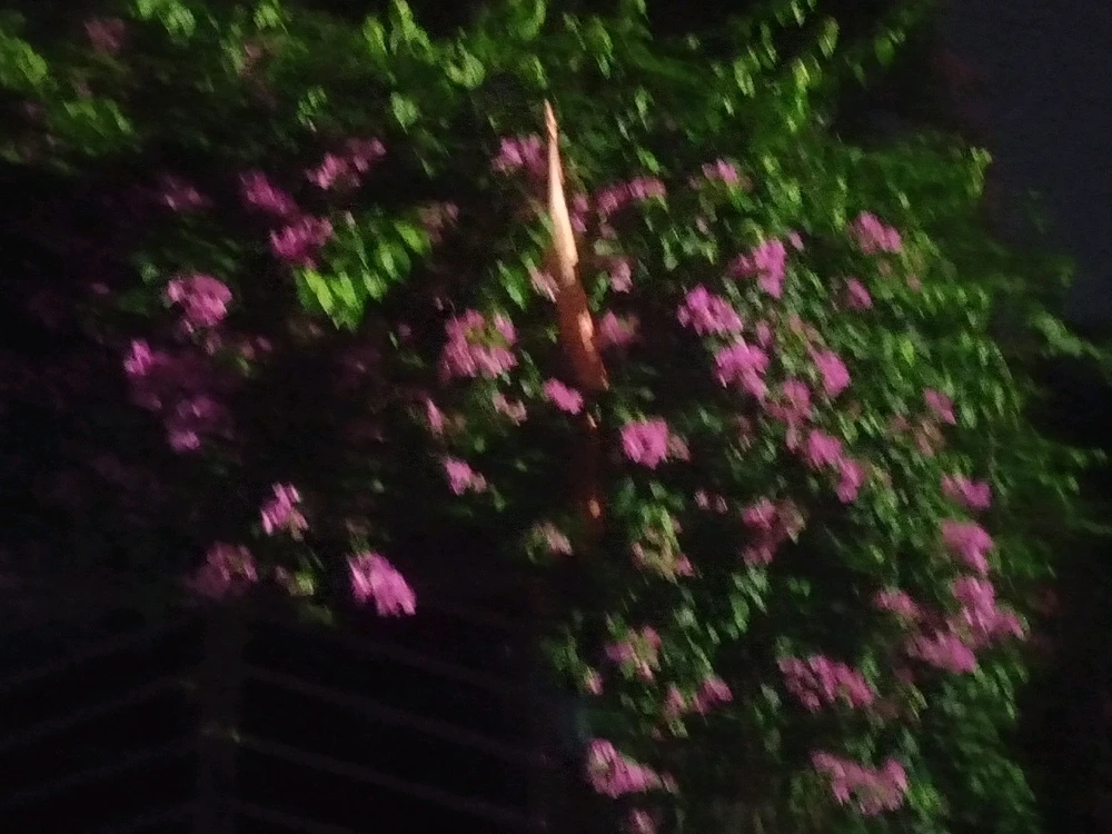 Ảnh do Lianh tải lên