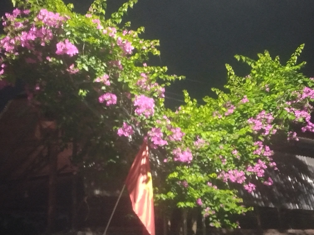 Ảnh do Lianh tải lên