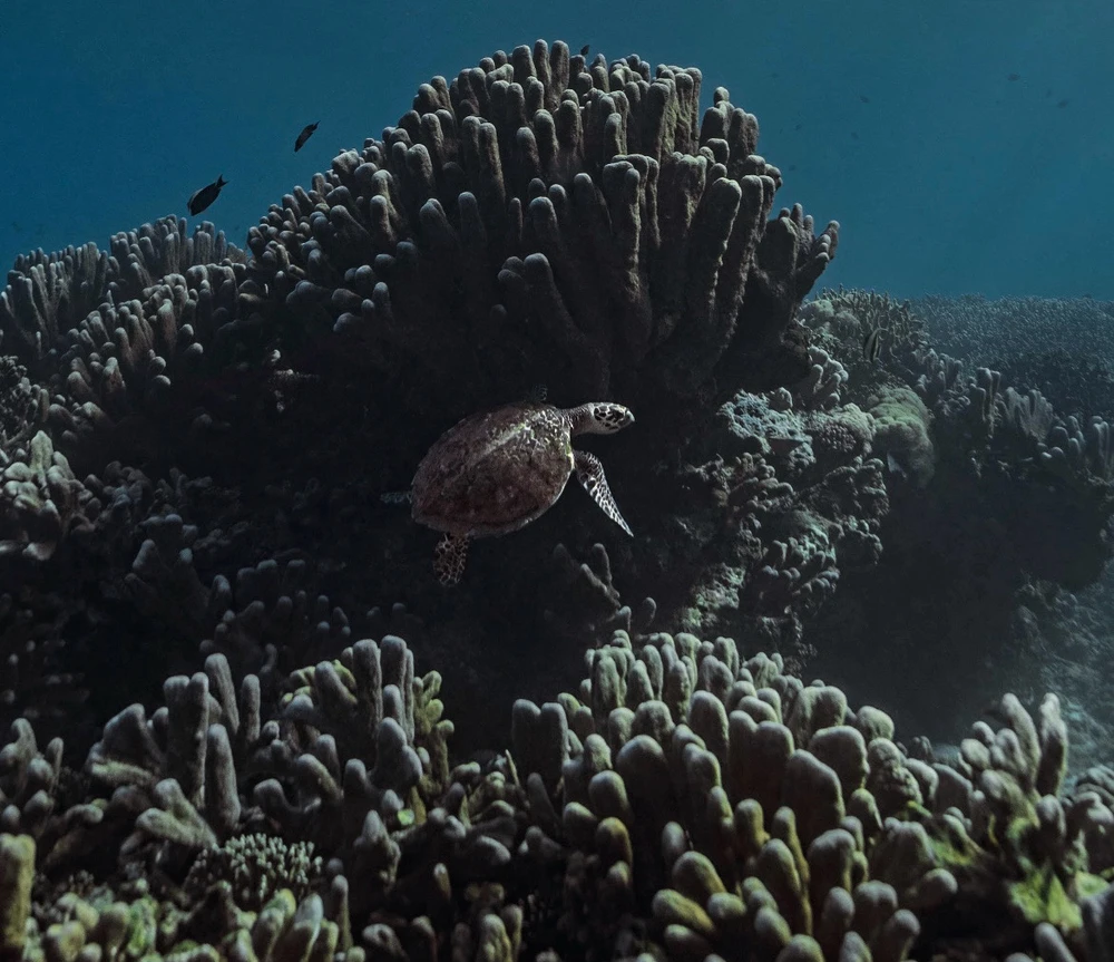 GIF uploaded by Angel Dymph