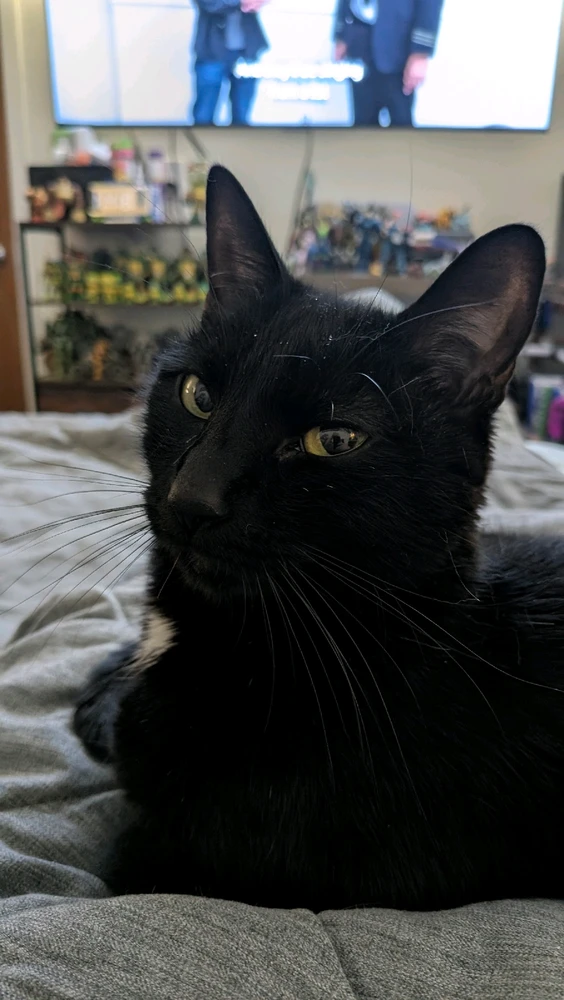 GIF uploaded by Scott