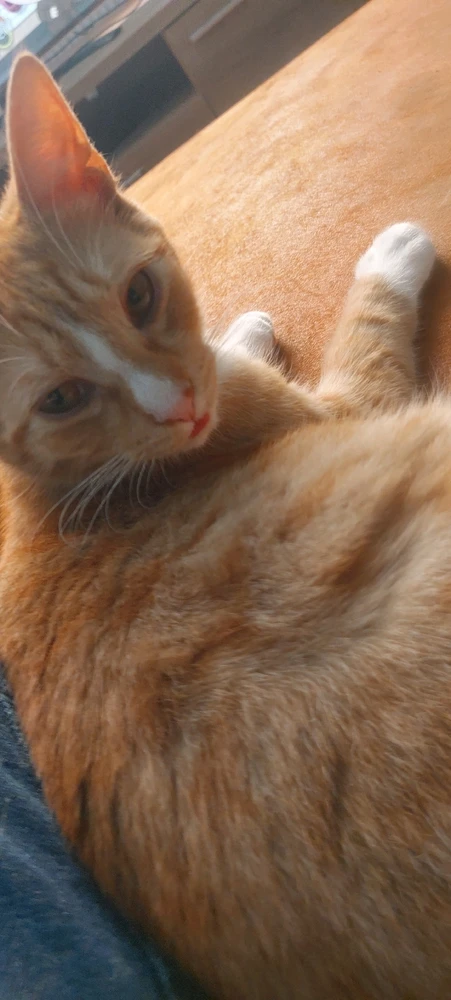 GIF geüpload door Freddie