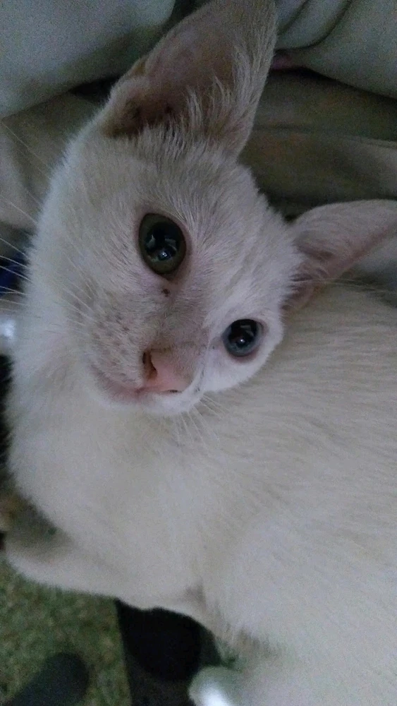 Imagen subida por Yamil