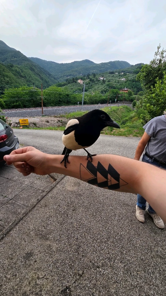 GIF caricata da Alessandro