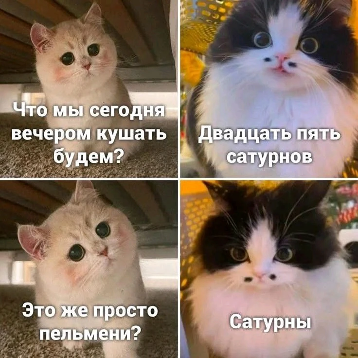 Фото загрузил Елизавета
