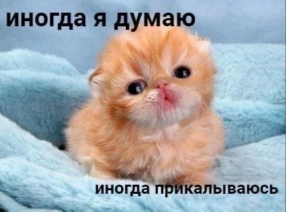 Фото загрузил Елизавета