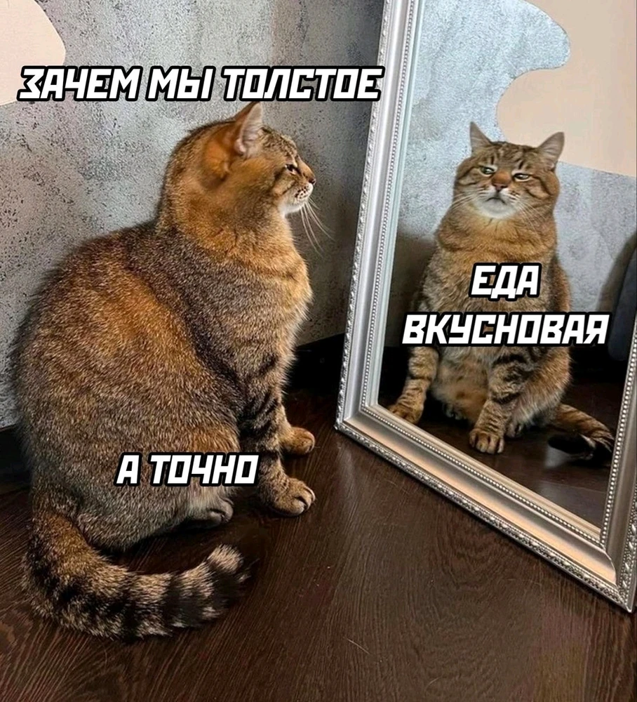 Фото загрузил Елизавета