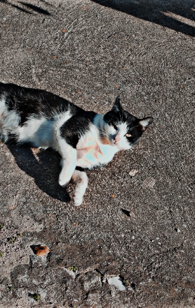 GIF enviado por Tatiana Alexandra