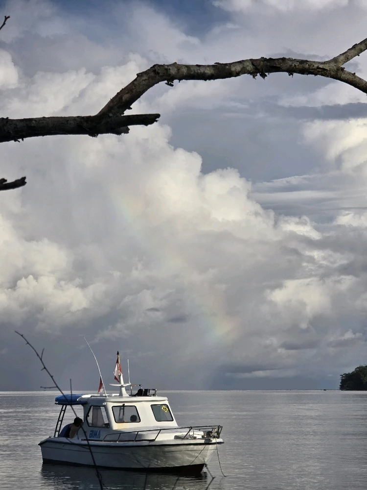 Image uploaded by Faqih