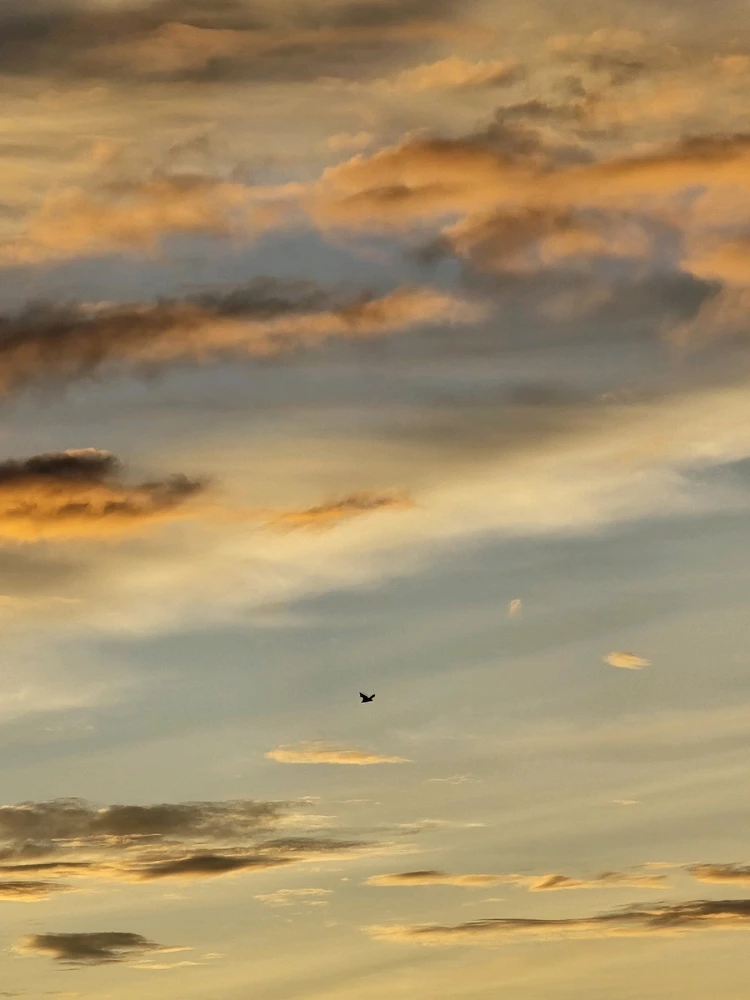 Image uploaded by Faqih