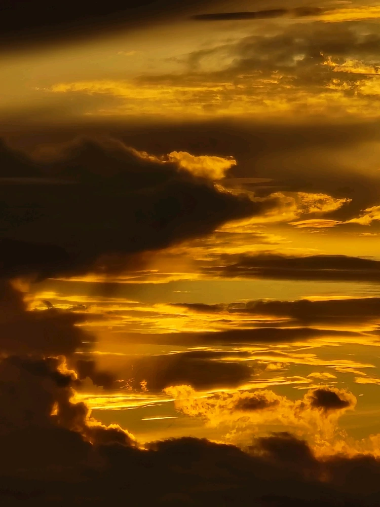 Image uploaded by Faqih