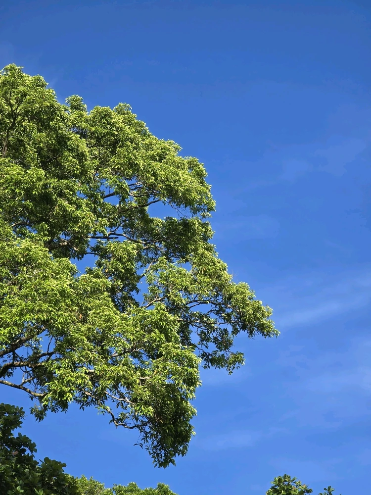 Image uploaded by Faqih