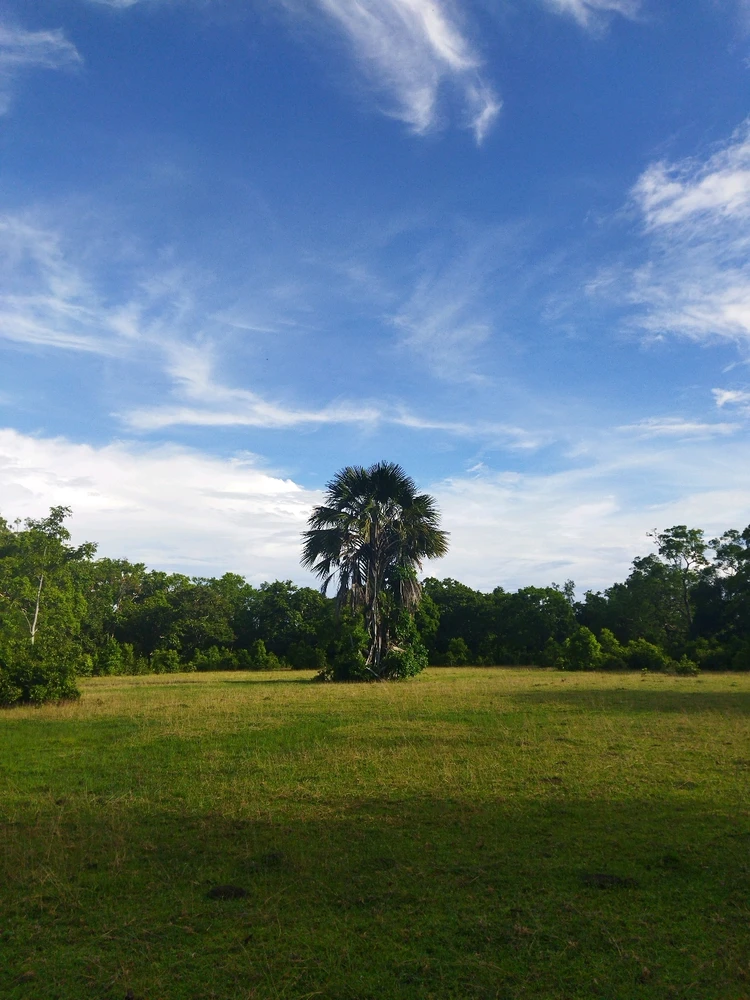 Image uploaded by Faqih