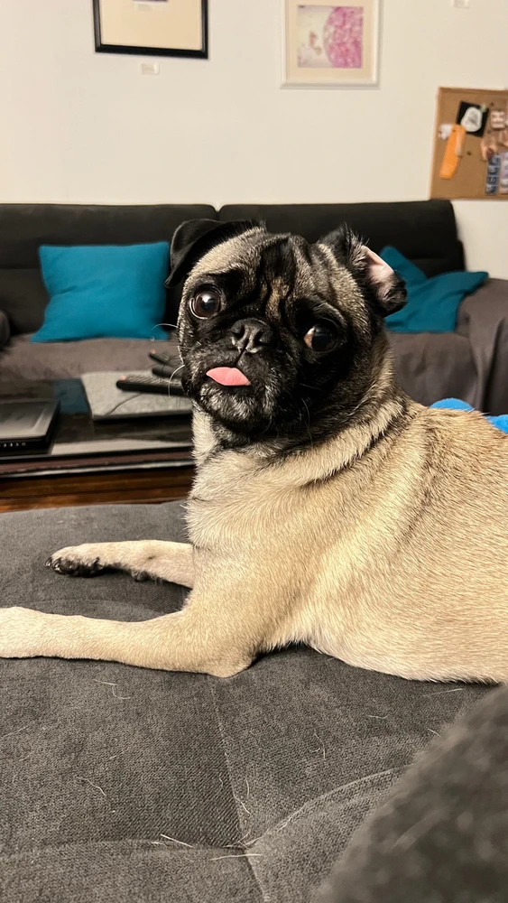 GIF uploaded by ariana