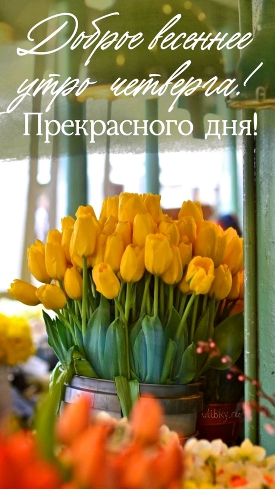 Фото загрузил Елена