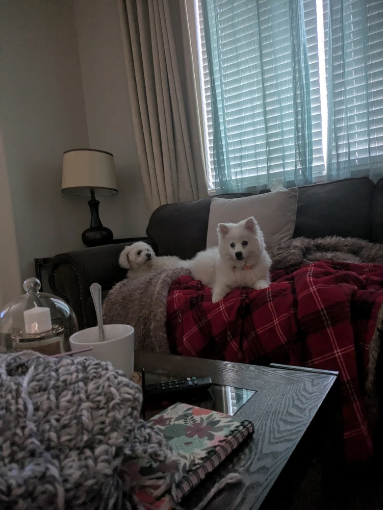 Image uploaded by Ace